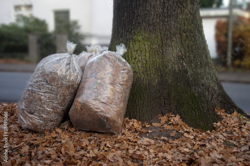 Laubsäcke am Baum