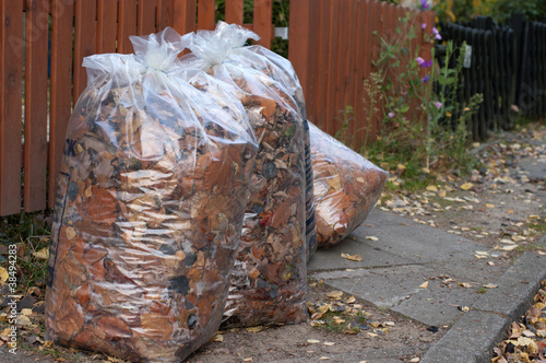 Laubsaecke am Holzzaun