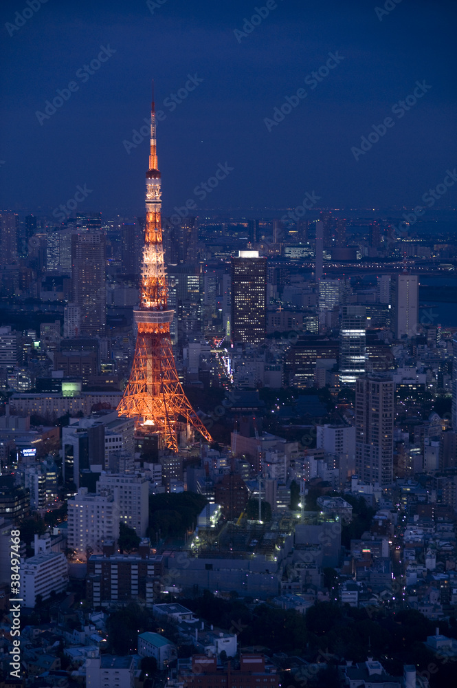 Obraz premium tokyo tower