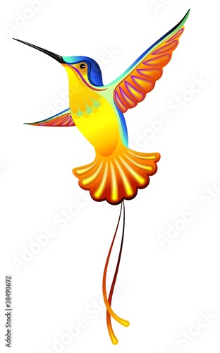 Colibri-Hummingbird-Vector