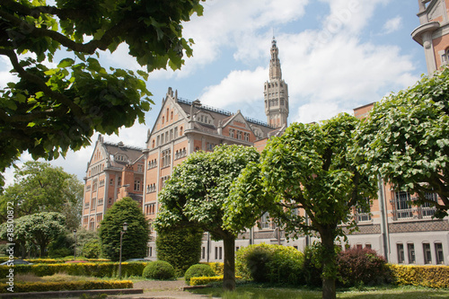 Obraz na plátně Hotel de ville Lille