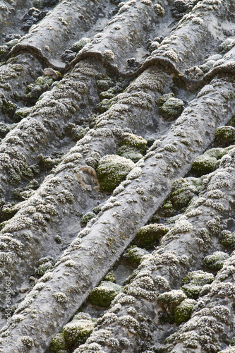 Asbestos roof eternit photo