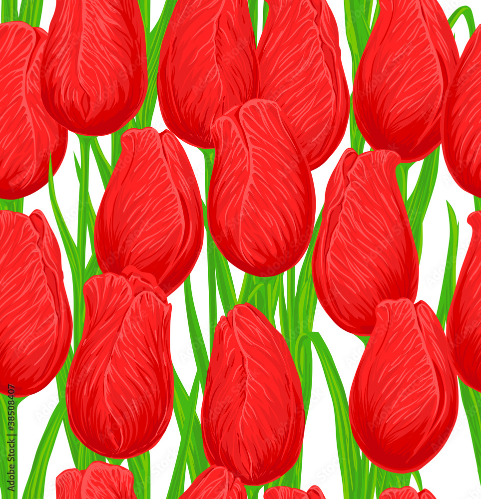 Fototapeta premium Tulips