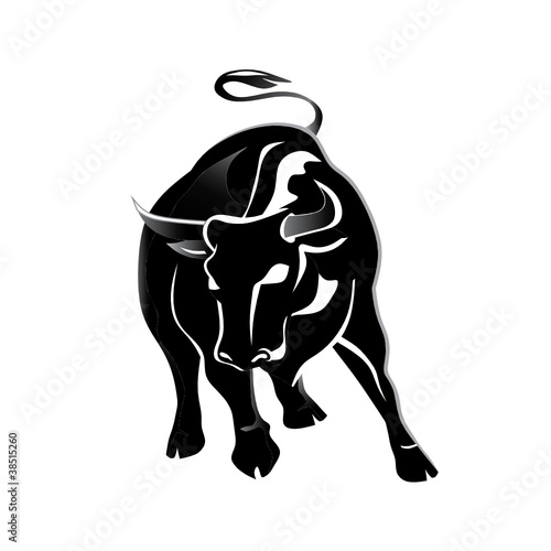Black bull