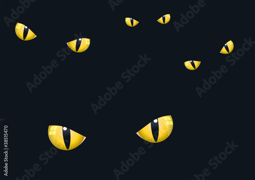 Yeux_Chats