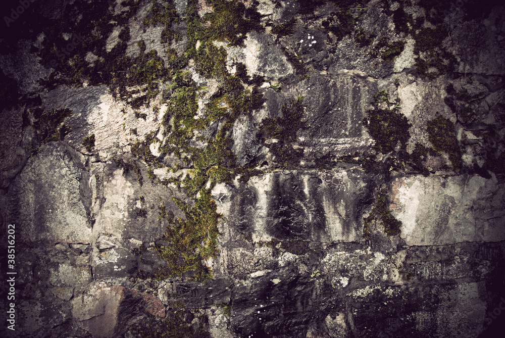 Stone wall with fungus Stone wall with fungus