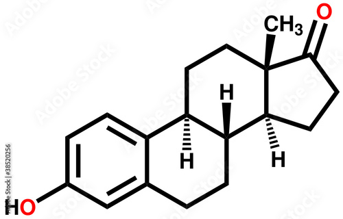 Sex hormone estrone structural formula
