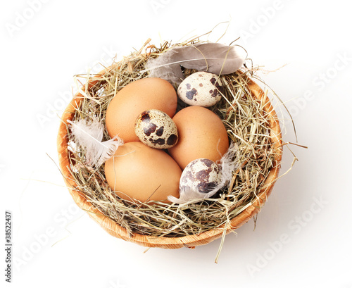 chicken and quail eggs in a nest isolated on white