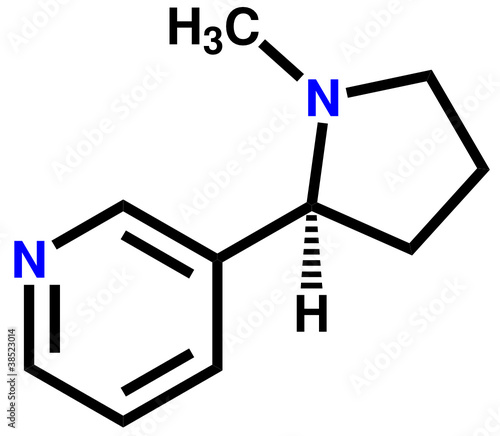 Nicotine structural formula