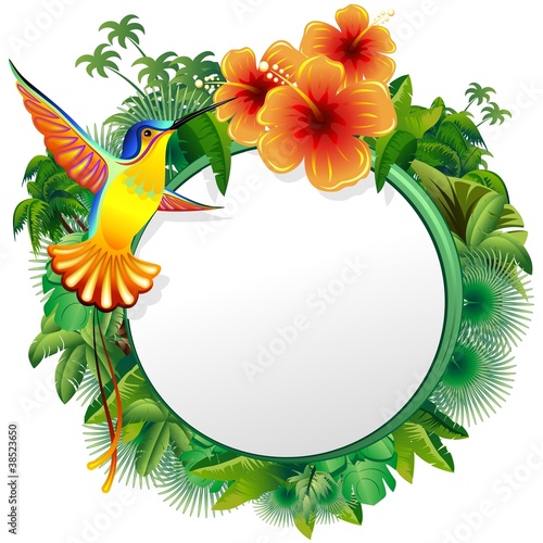 Colibri Biglietto Esotico-Hummingbord Hibiscus Jungle-Vector