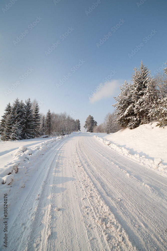 Obraz premium Winter road.