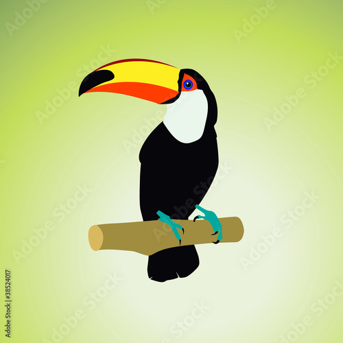 Toucan