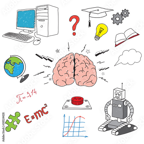 brain