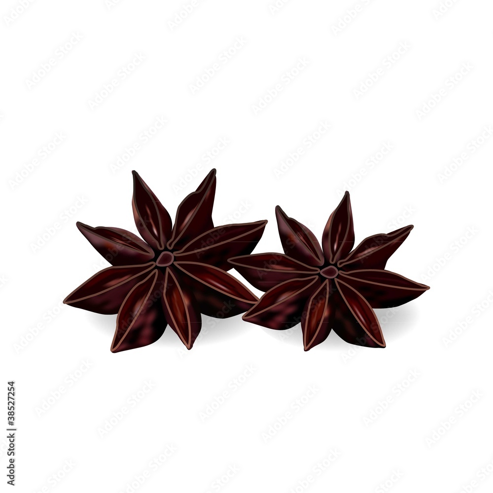 anise seeds anise seeds