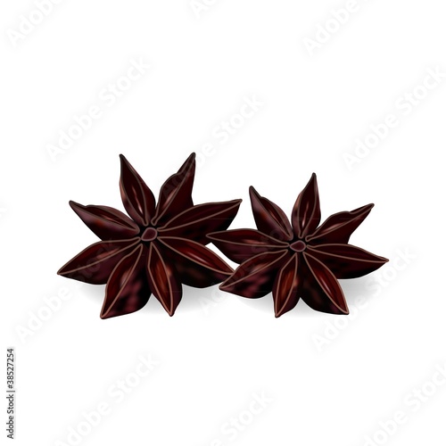 anise seeds