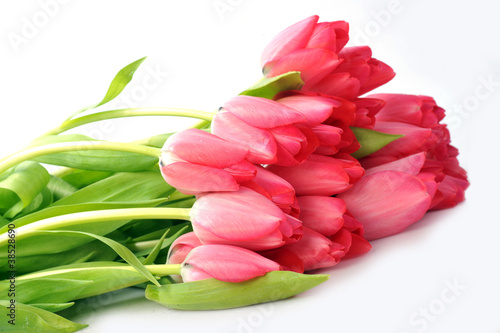 Fototapeta Naklejka Na Ścianę i Meble -  red tulips