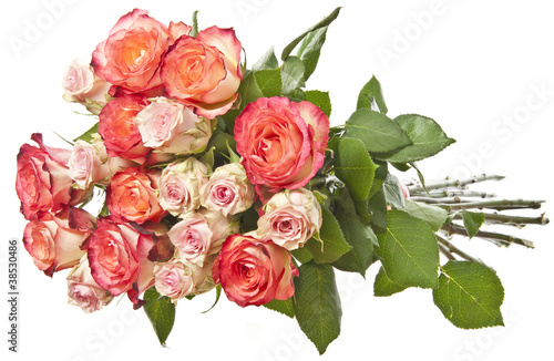 bunch of roses on white background