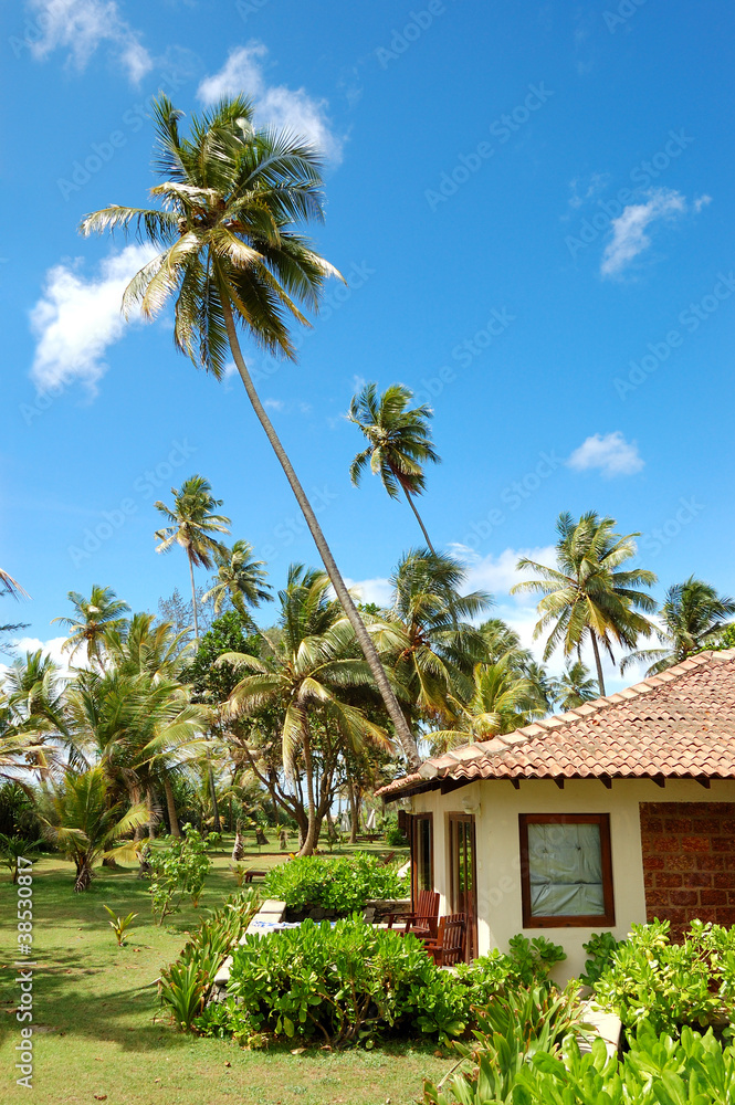 Holiday villa at the popular hotel and palms, Bentota, Sri Lanka