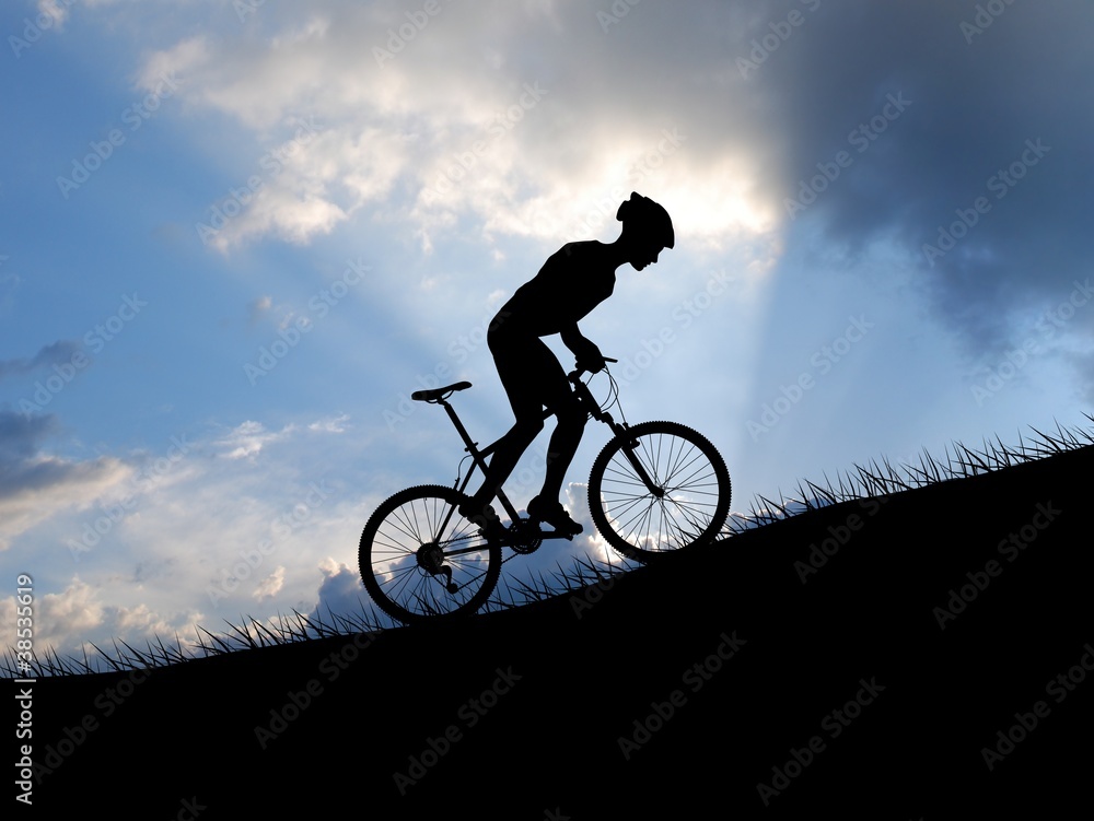 Mountain bike