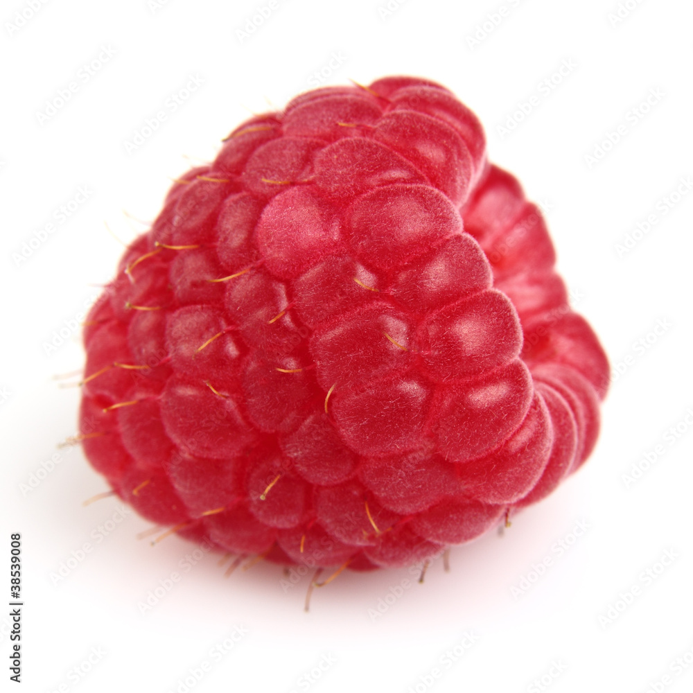 One fresh raspberry One fresh raspberry