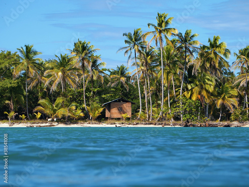 Tropical coast with coconut trees and a hut  Central America  Panama