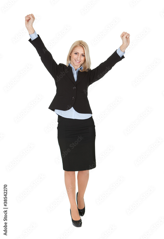 Beautiful successful businesswoman Beautiful successful businesswoman
