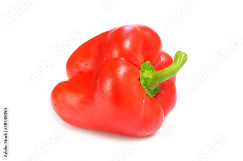 Red Paprika. Pepper isolated on white background.