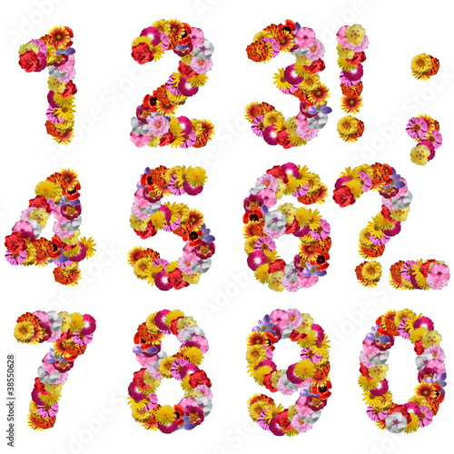 Fototapeta Naklejka Na Ścianę i Meble -  numbers of flowers