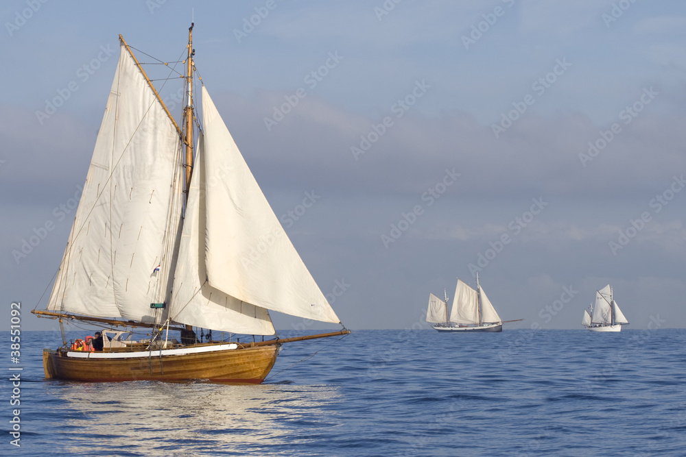Obraz premium Tender with white sails
