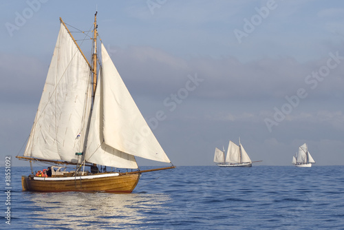 Tender with white sails