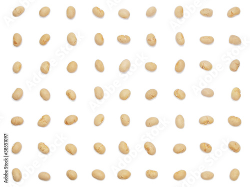 白背景の大豆