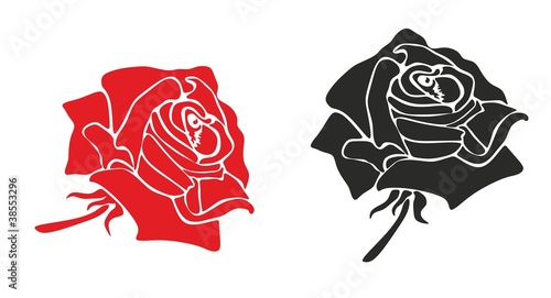 Rose 30 a