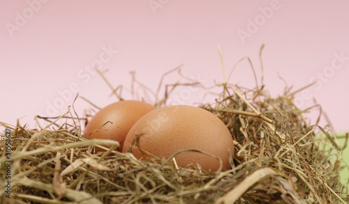 Zwei frische Eier im Stroh