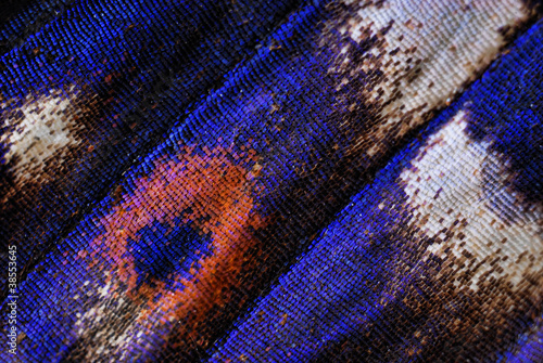 Magnified iridescent butterfly  scales