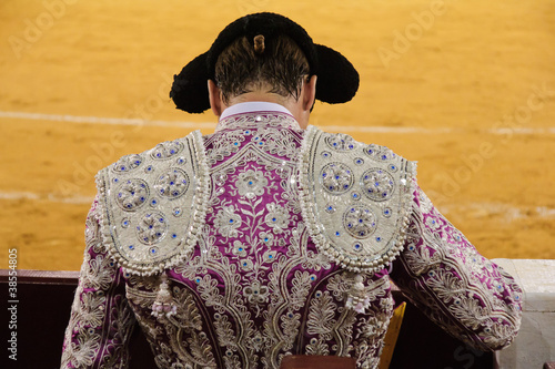 Slika na platnu bullfighter