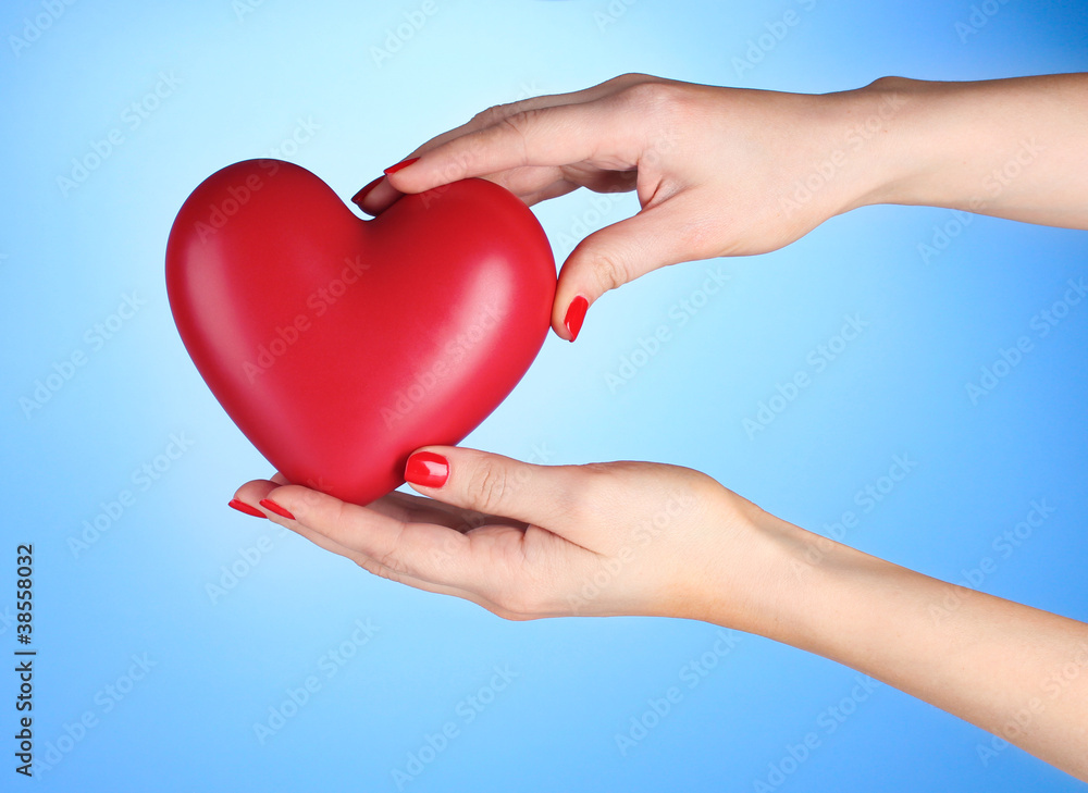 Red heart in woman's hands on blue background Red heart in woman's hands on blue background