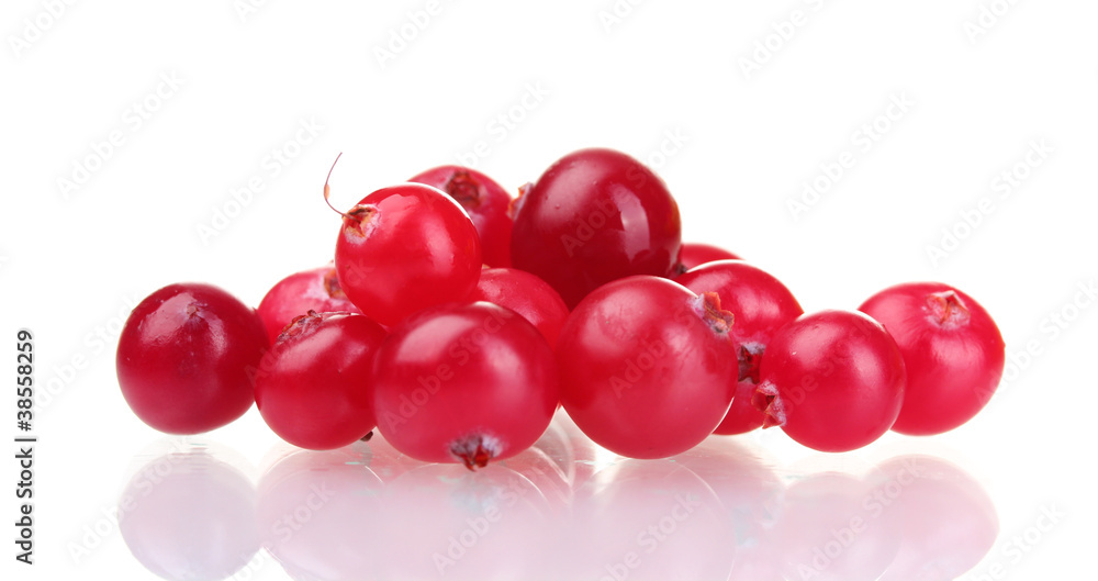 fresh cranberries isolated on white