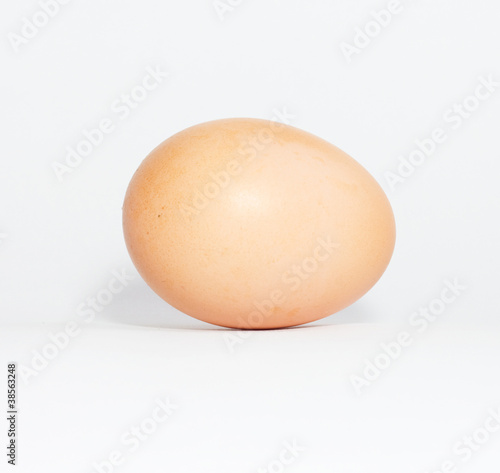 One egg on white background