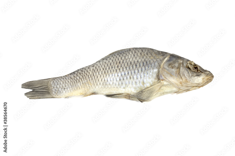Fototapeta premium Dried fish allocated on a white background