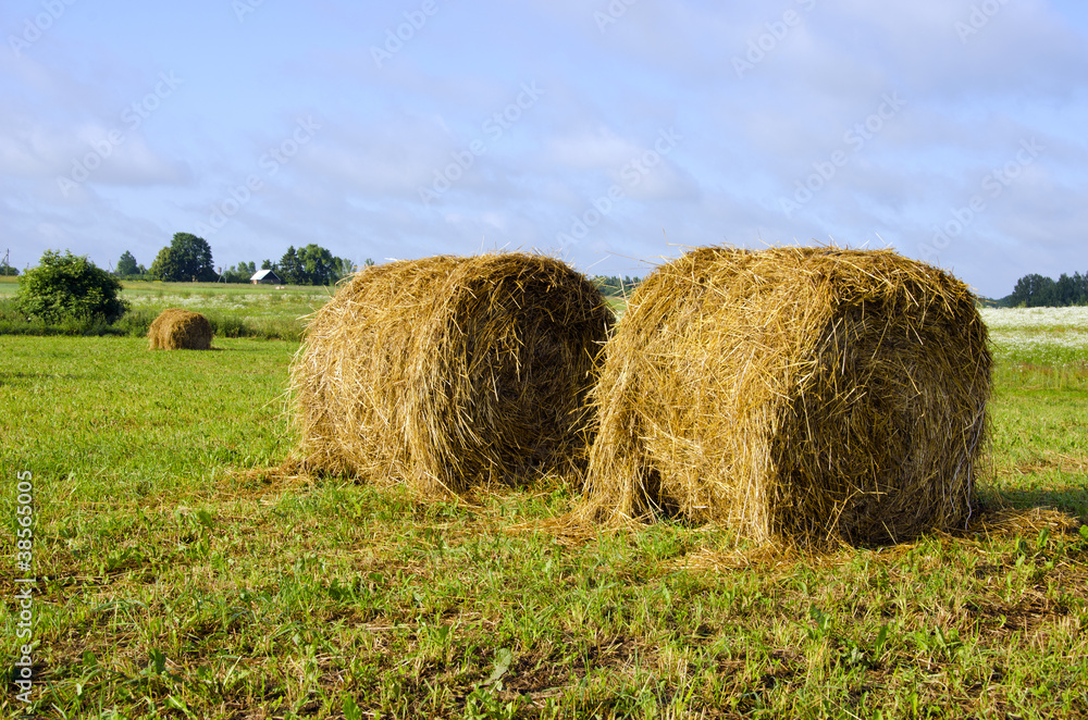 Twisted haystack in meadow animal feed for winter Twisted haystack in meadow animal feed for winter