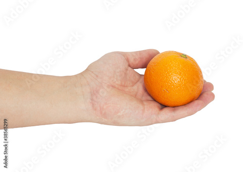 tangerine in the hand
