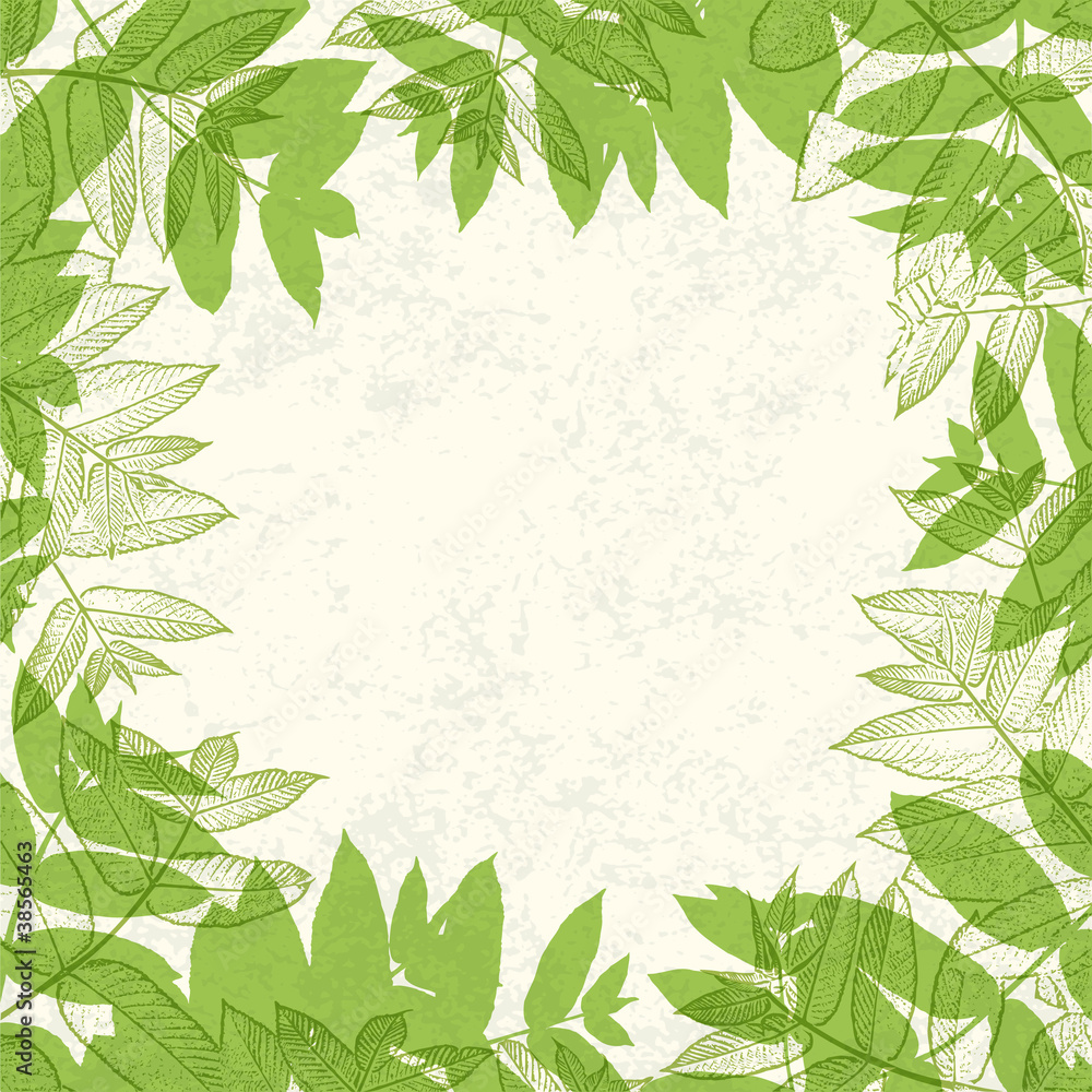 Green leaves frame on paper texture. Vector illustration, EPS10. Green leaves frame on paper texture. Vector illustration, EPS10.