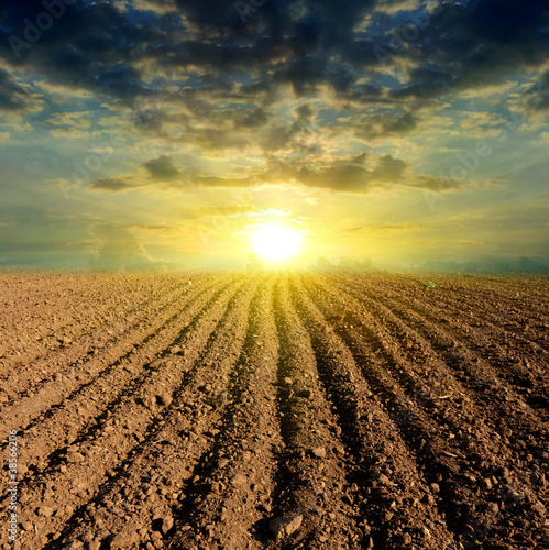 ploughed field sunset