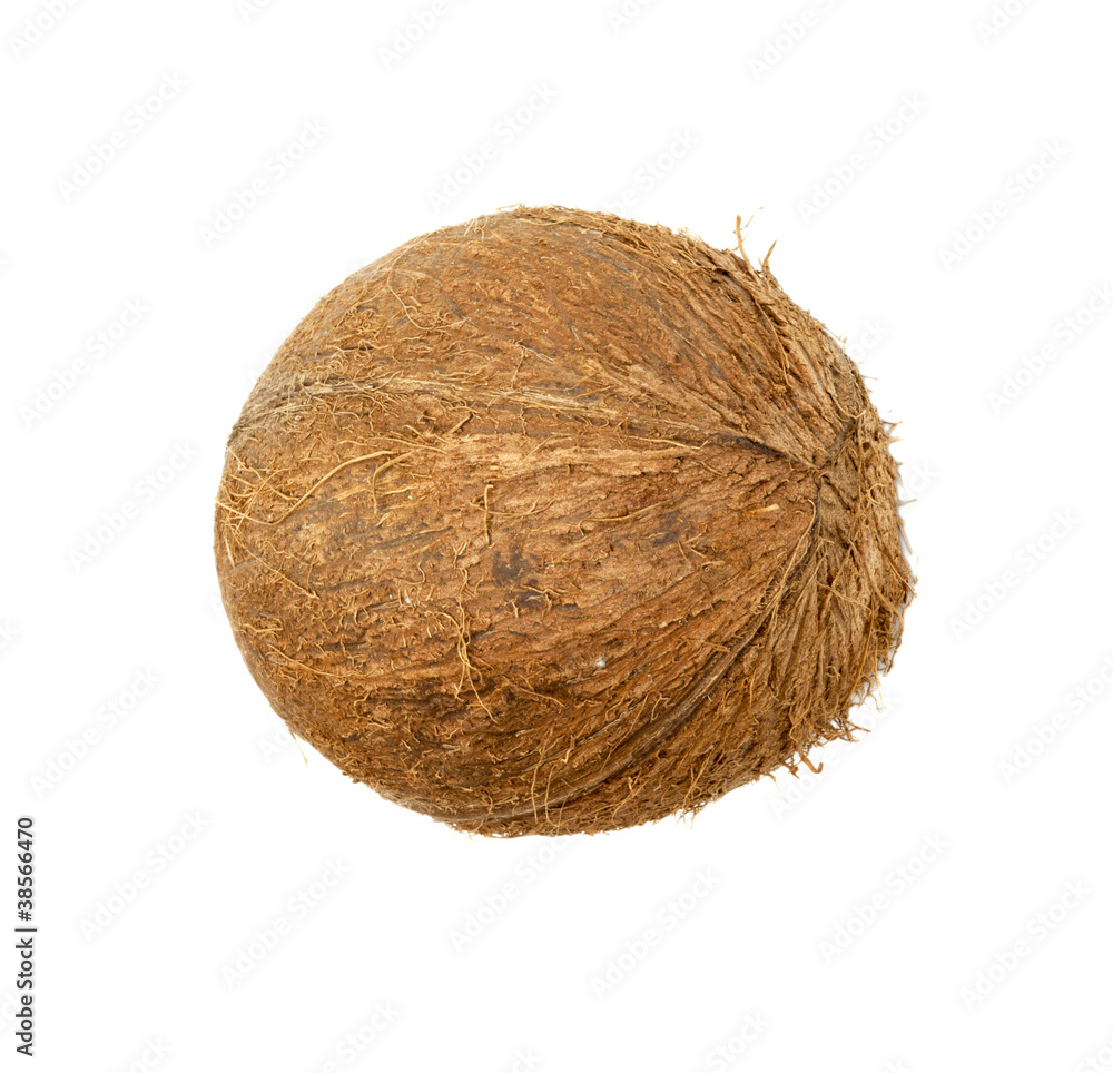 coconut isolated on white background coconut isolated on white background