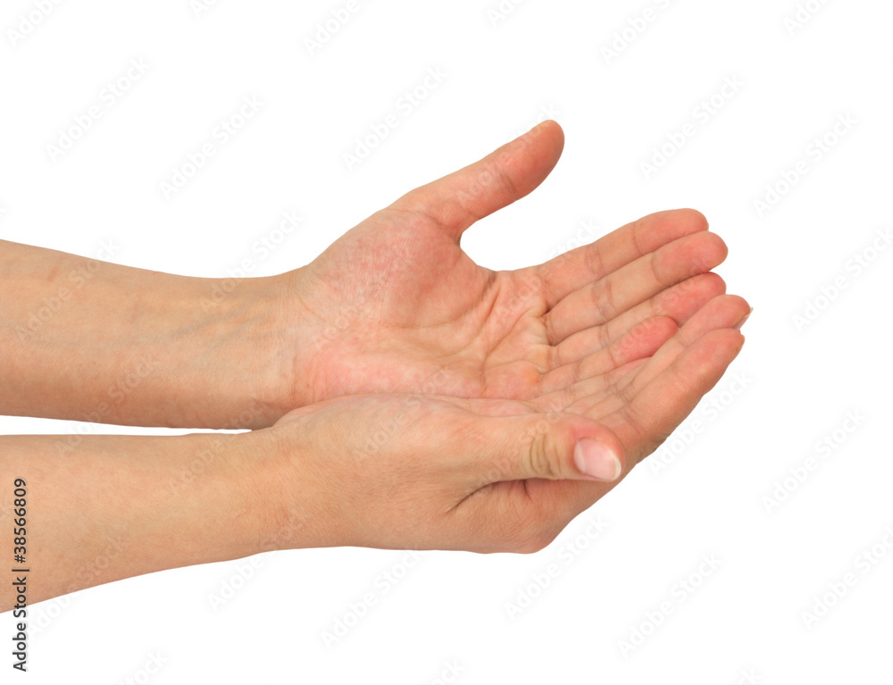 two palms of the hand on white background