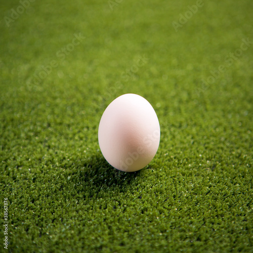 easter egg on the lawn