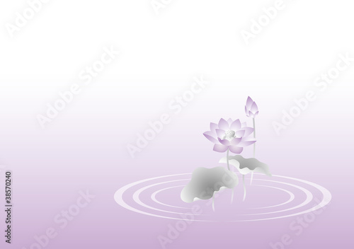 蓮の花　背景