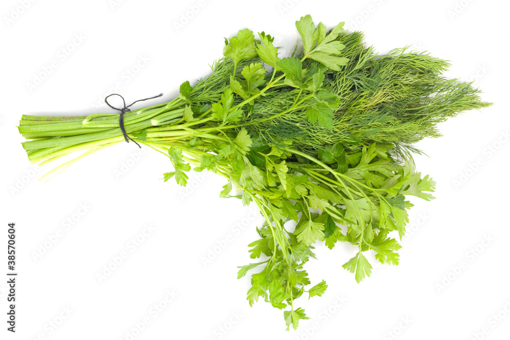 dill and parsley isolated on a white background dill and parsley isolated on a white background