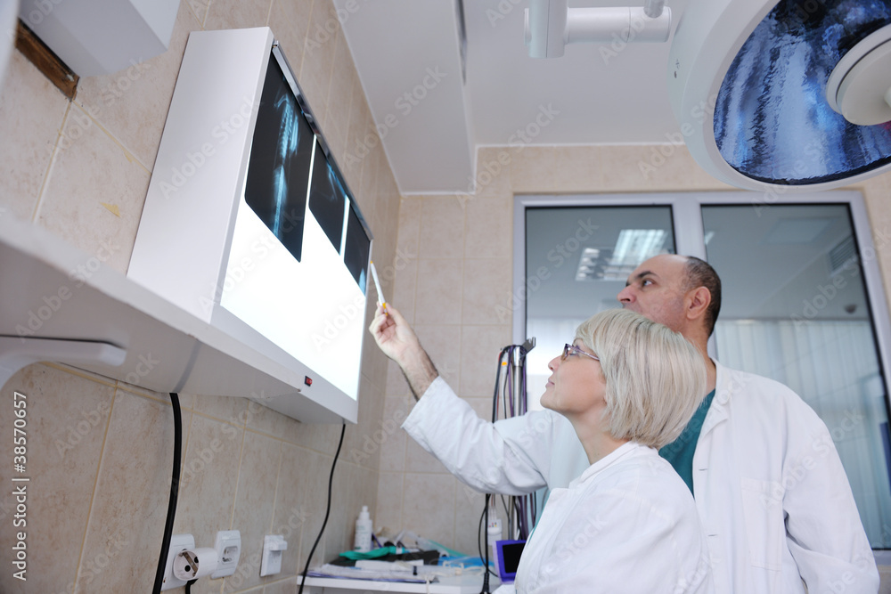 Obraz premium veterinarian and assistant in a small animal clinic