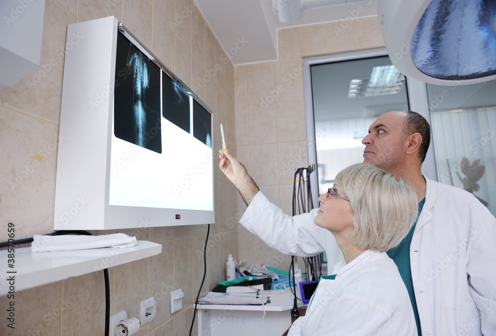 Obraz premium veterinarian and assistant in a small animal clinic